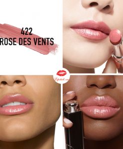 son-dior-addict-refillable-422-rose-des-vents