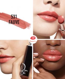 son-dior-addict-refillable-531-fauve