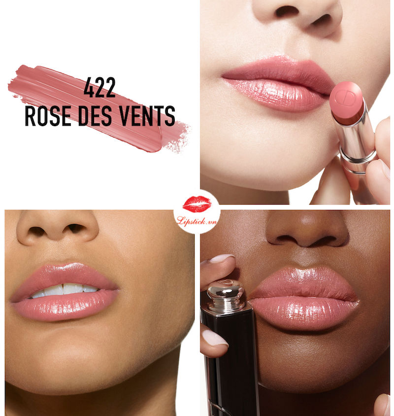 Son Dior Addict 422 Rose des Vents