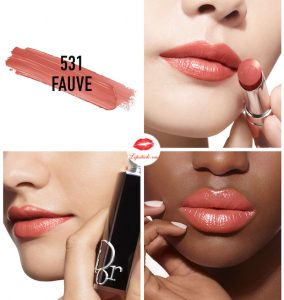 Son Dior Addict 531 Fauve