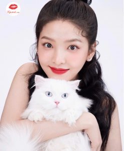 son-kem-Lancome-ink-154-Dis-Oui