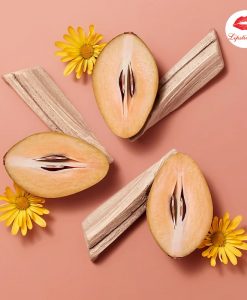 son-hermes-infused-care-oil-01-beige-sapotille