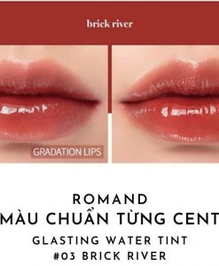 romand-glasting-water-tint-03