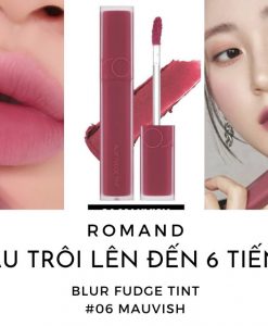 son-kem-romand-06-mauvish