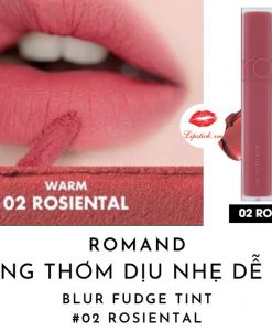 son-kem-romand-blur-fudge-tint-02