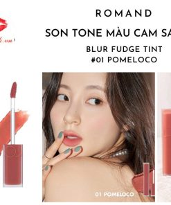 son-romand-blur-fudge-tint-01