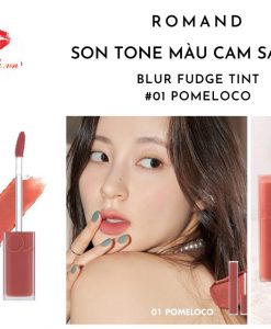 son-romand-blur-fudge-tint-01