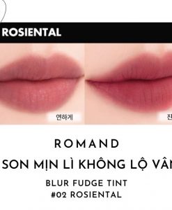 son-romand-blur-fudge-tint-mau-02