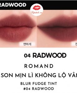 son-romand-blur-fudge-tint-mau-04