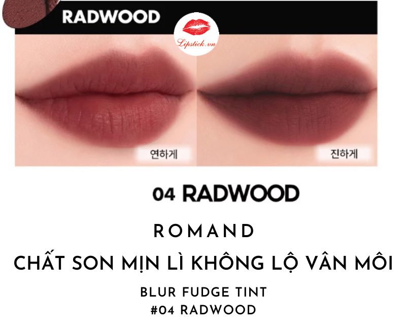 son-romand-blur-fudge-tint-mau-04