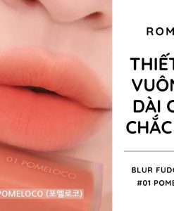 son-romand-blur-fudge-tint-mau-cam-san-ho-01