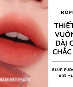 son-romand-blur-fudge-tint-mau-do-gach-03