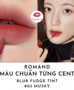 son-romand-blur-fudge-tint-mau-musky-03