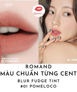 son-romand-blur-fudge-tint-mau-pomeloco-01