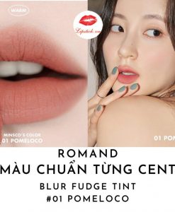 son-romand-blur-fudge-tint-mau-pomeloco-01
