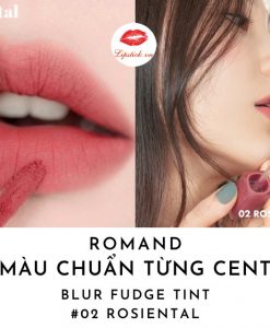 son-romand-blur-fudge-tint-mau-rosiental-02