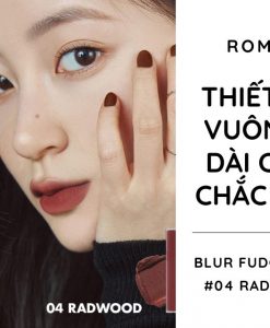 son-romand-blur-fudge-tint-nau-go