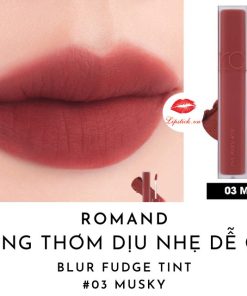 son-romand-mau-03-do-gach