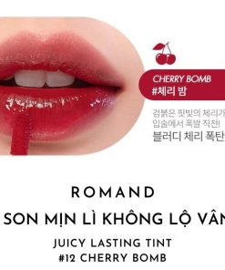 son-romand-mau-12