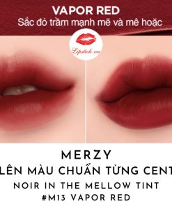 merzy-m13