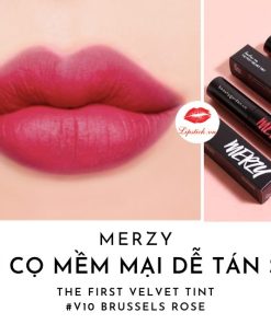 merzy-v10
