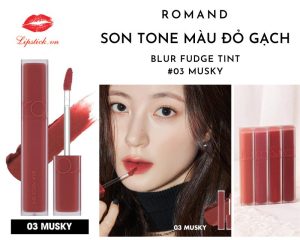 Son Romand Blur Fudge Tint 03