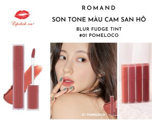 Son Romand Blur Fudge Tint 01