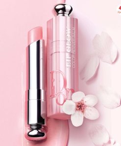 son-dior-033