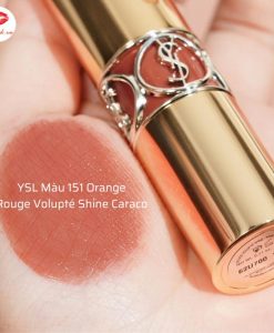 ysl màu 151