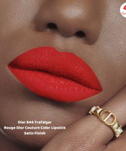 dior 844