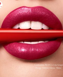 son louboutin 824S levita grape