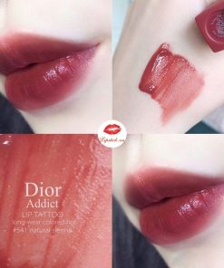 dior-541-natural-sienna