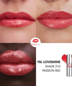 ysl-210