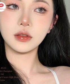 ysl-610